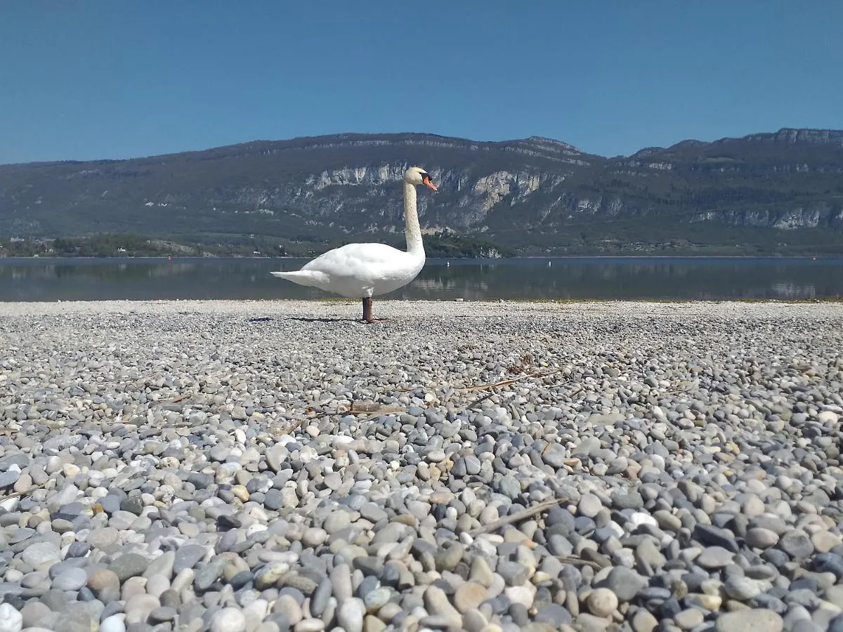 Eco Yourte Lac Du Bourget Conjux Роскошный шатер